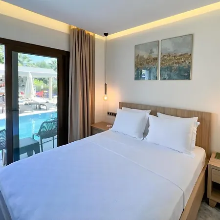 Dna (adults Only) Dalyan
